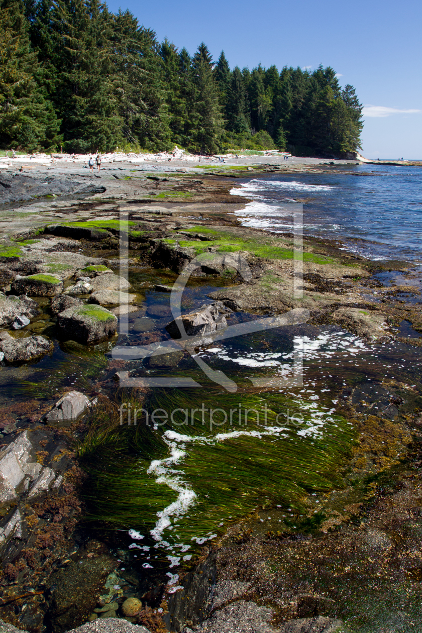 Bild-Nr.: 11933535 Botanical Beach erstellt von DirkR