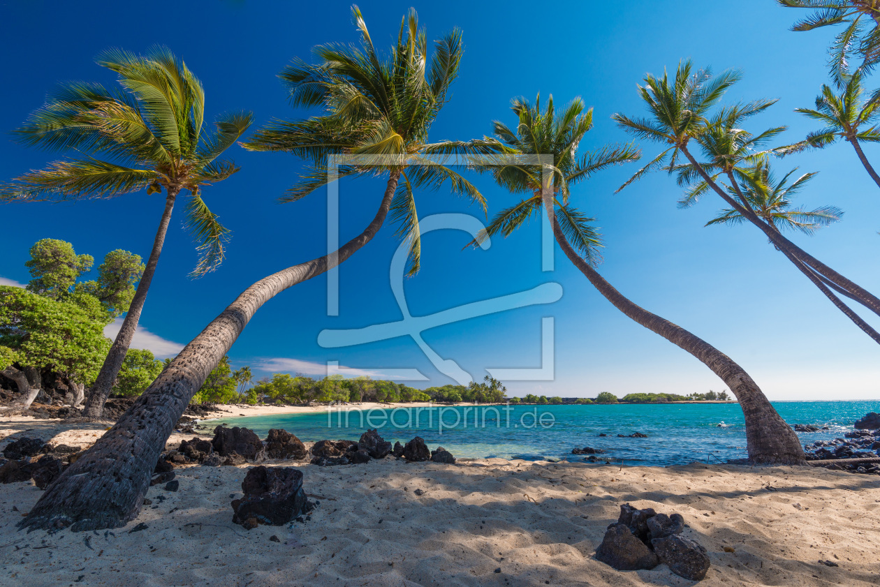 Bild-Nr.: 11933667 Palmen am Strand auf Big Island - Hawaii erstellt von orxy
