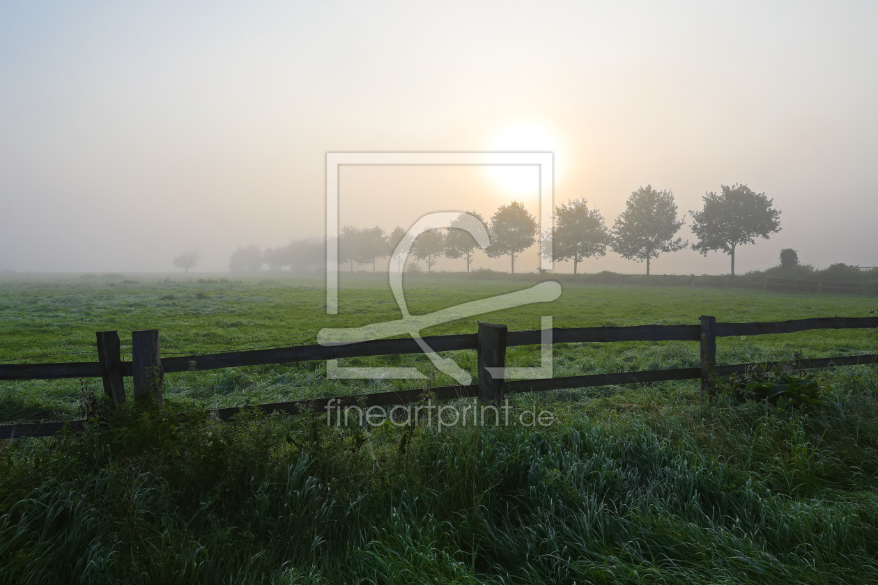 Bild-Nr.: 11933924 Am Morgen an der Weide Bild-Nr.: 11933924 Am Morgen an der Weide erstellt von falconer59