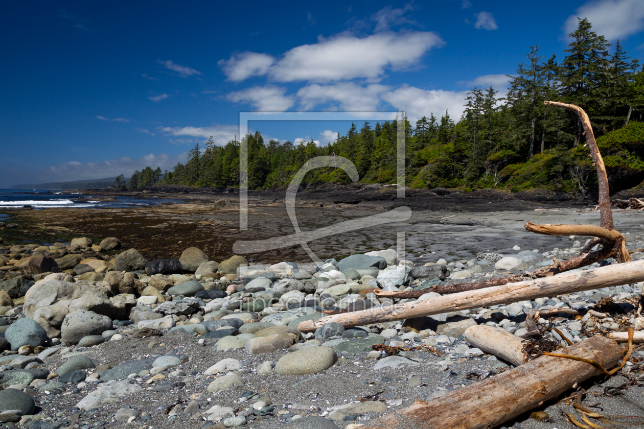 Bild-Nr.: 11933970 Botanical Beach Bild-Nr.: 11933970 Botanical Beach erstellt von DirkR