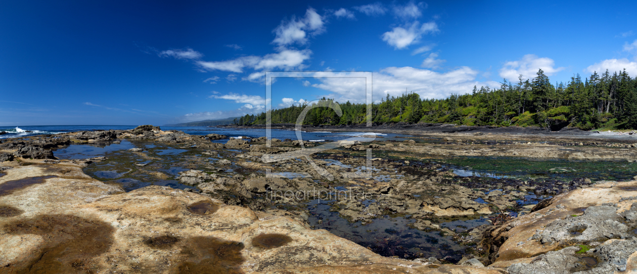 Bild-Nr.: 11933978 Botanical Beach erstellt von DirkR