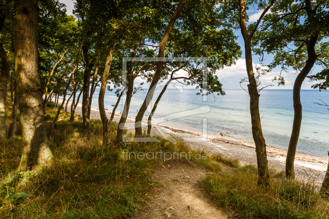 Bild-Nr.: 11934258 Ostsee - Stämme erstellt von Ursula Reins