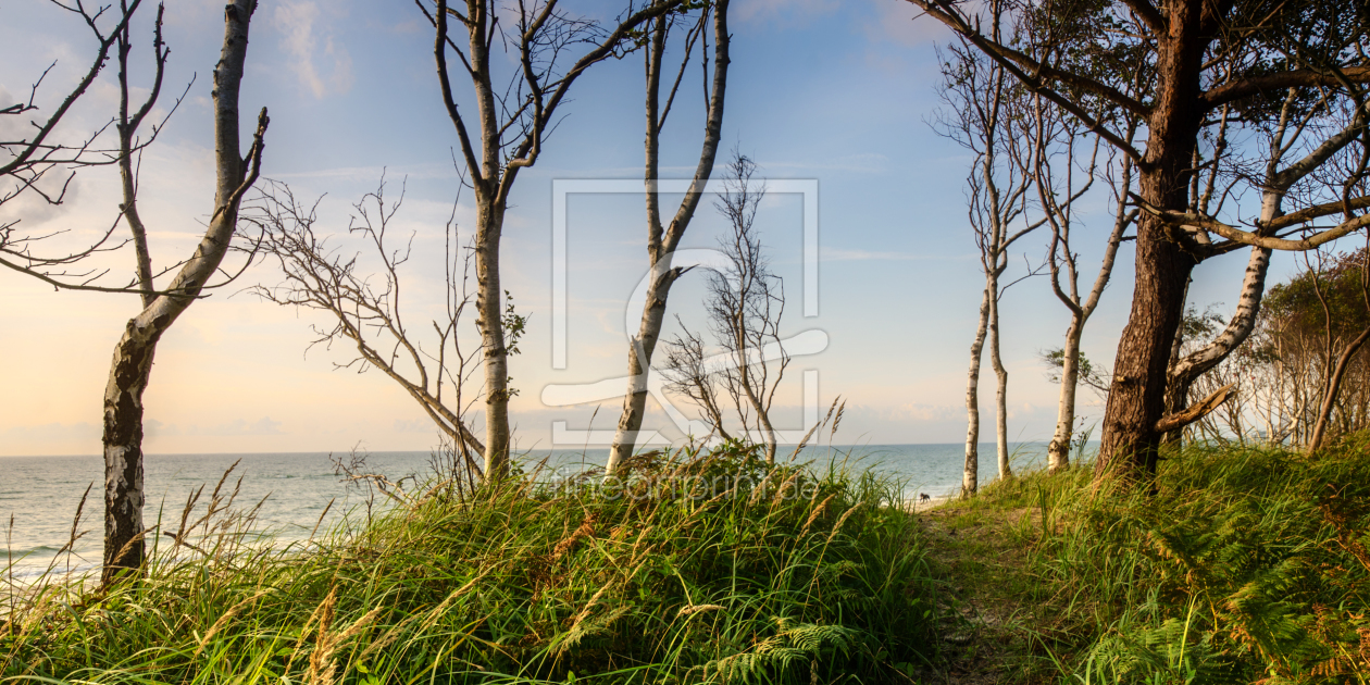 Bild-Nr.: 11934394 Weststrand erstellt von Steffen Gierok