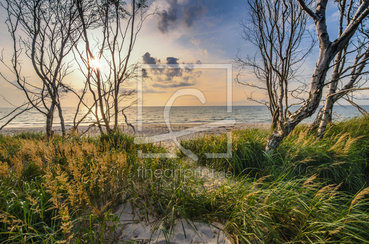 Bild-Nr.: 11934395 Weststrand Bild-Nr.: 11934395 Weststrand erstellt von Steffen Gierok