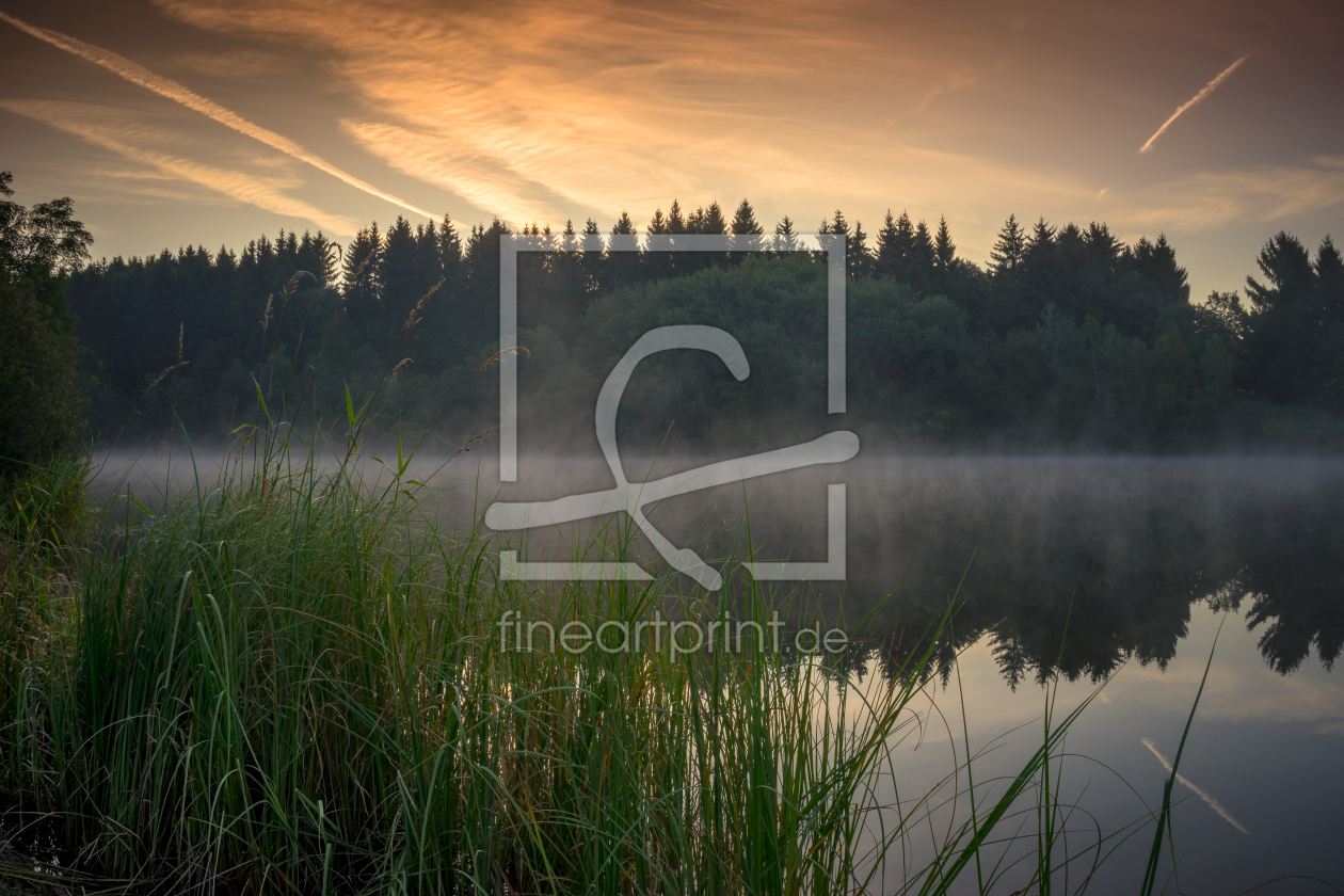 Bild-Nr.: 11934514 Gras am Wasser erstellt von Steffen Henze