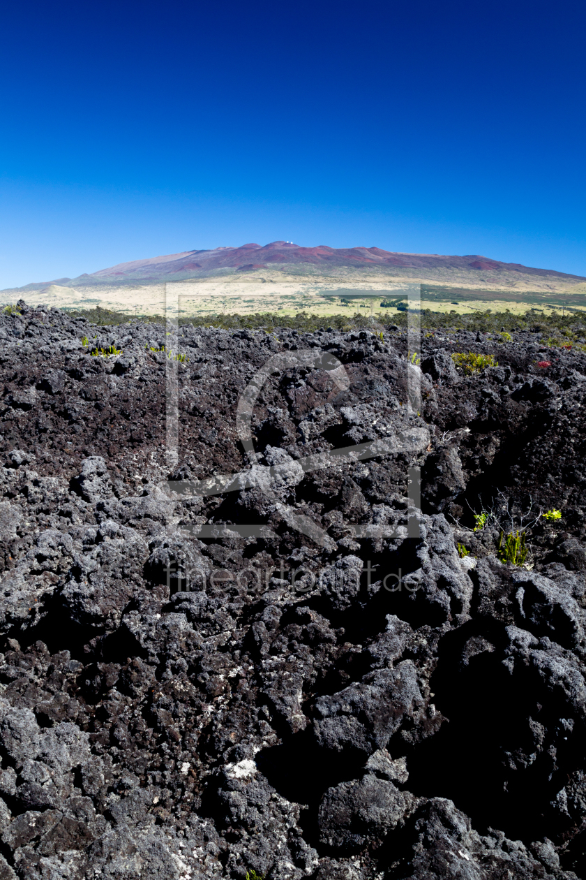 Bild-Nr.: 11934877 Mauna Kea erstellt von DirkR