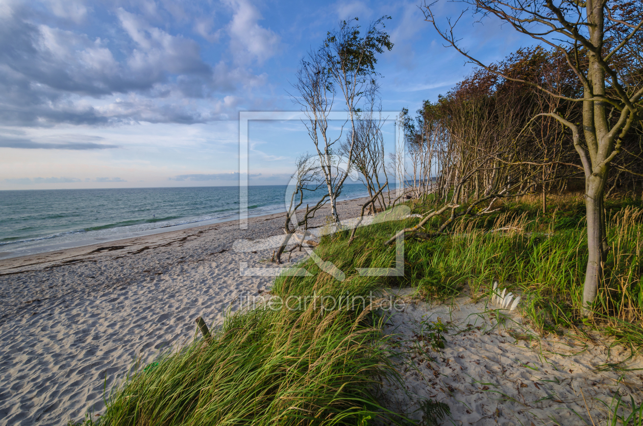 Bild-Nr.: 11934930 Ahrenshoop Weststrand erstellt von Steffen Gierok