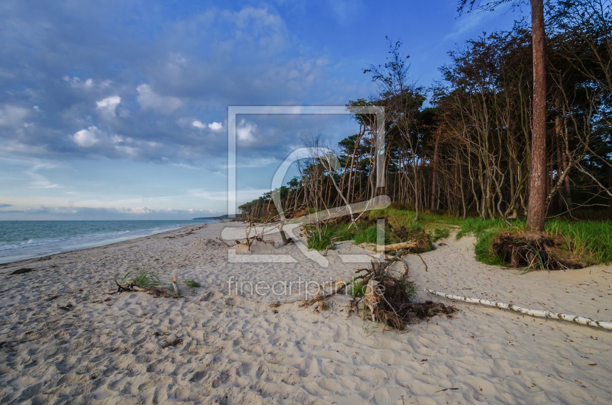 Bild-Nr.: 11934931 Ahrenshoop Weststrand erstellt von Steffen Gierok