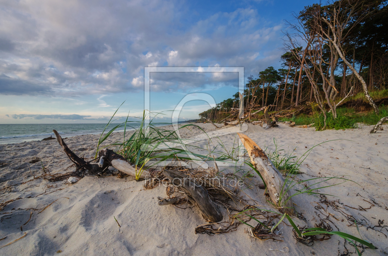 Bild-Nr.: 11934932 Ahrenshoop Weststrand erstellt von Steffen Gierok