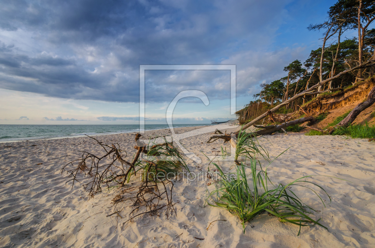 Bild-Nr.: 11934933 Ahrenshoop Weststrand erstellt von Steffen Gierok