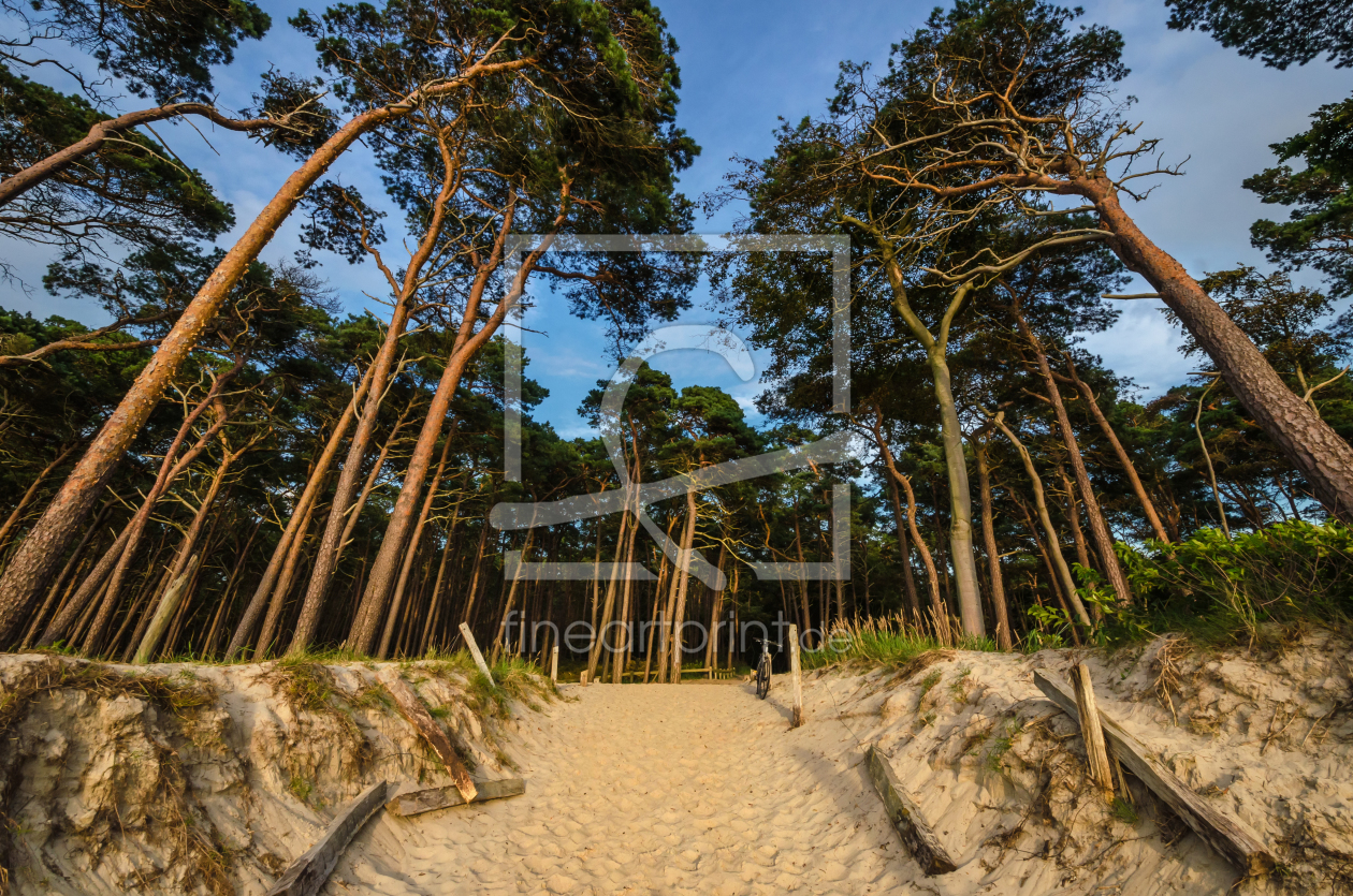 Bild-Nr.: 11934934 Ahrenshoop Weststrand erstellt von Steffen Gierok