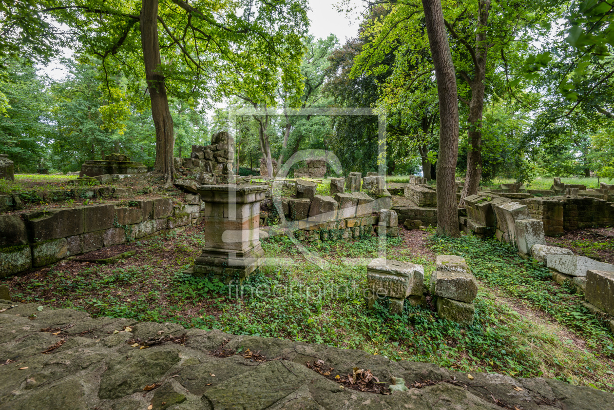 Bild-Nr.: 11935062 Klosterruine Disibodenberg - Sakristei 68 erstellt von Erhard Hess