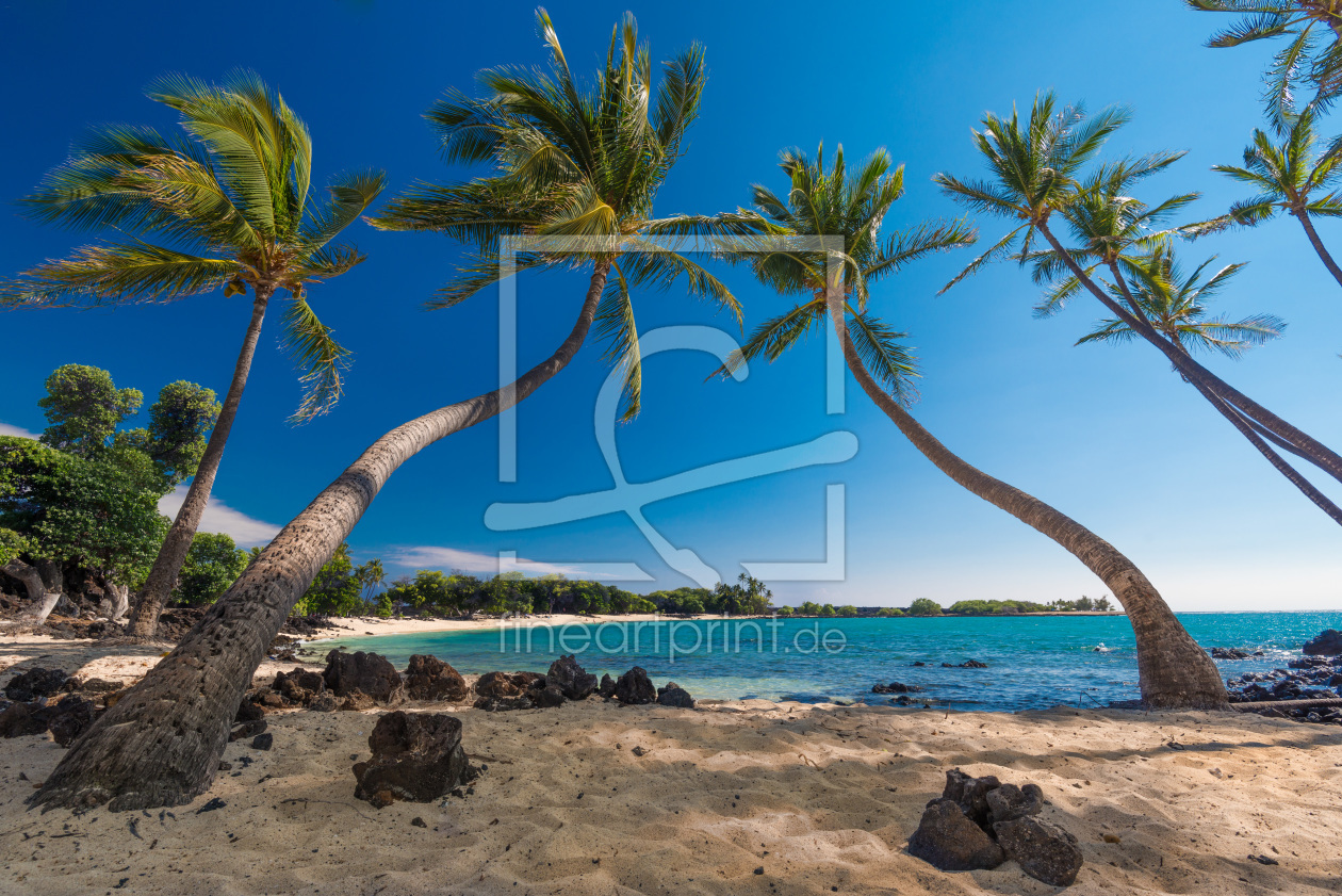 Bild-Nr.: 11935452 Palmen am Strand auf Big Island - Hawaii erstellt von orxy