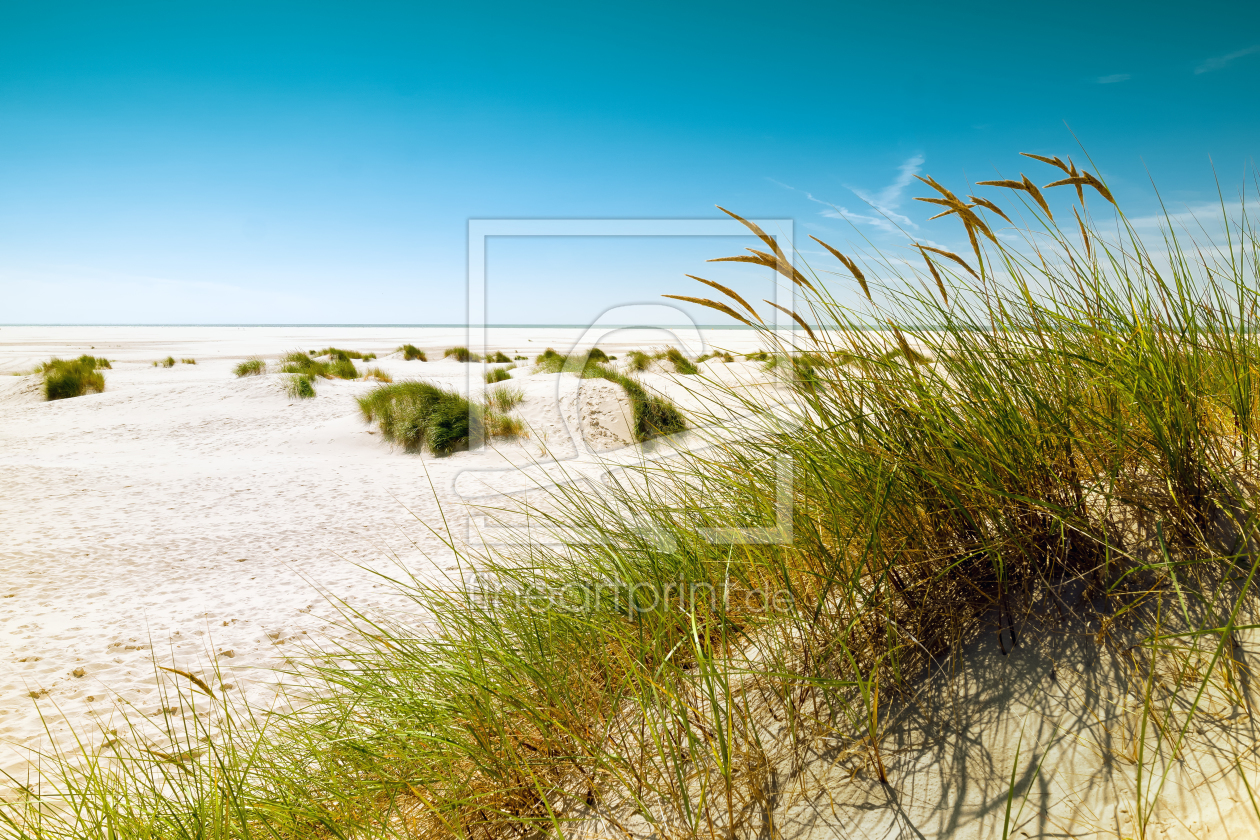 Bild-Nr.: 11935500 Amrum Bild-Nr.: 11935500 Amrum erstellt von Reiner Würz