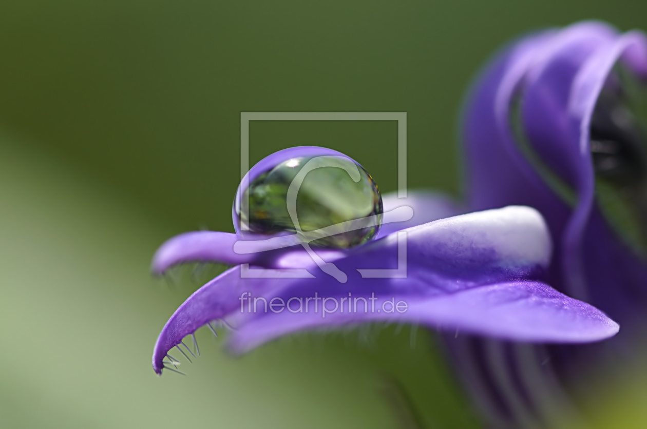 Bild-Nr.: 11935783 Blue emotions Bild-Nr.: 11935783 Blue emotions erstellt von youhaveadream