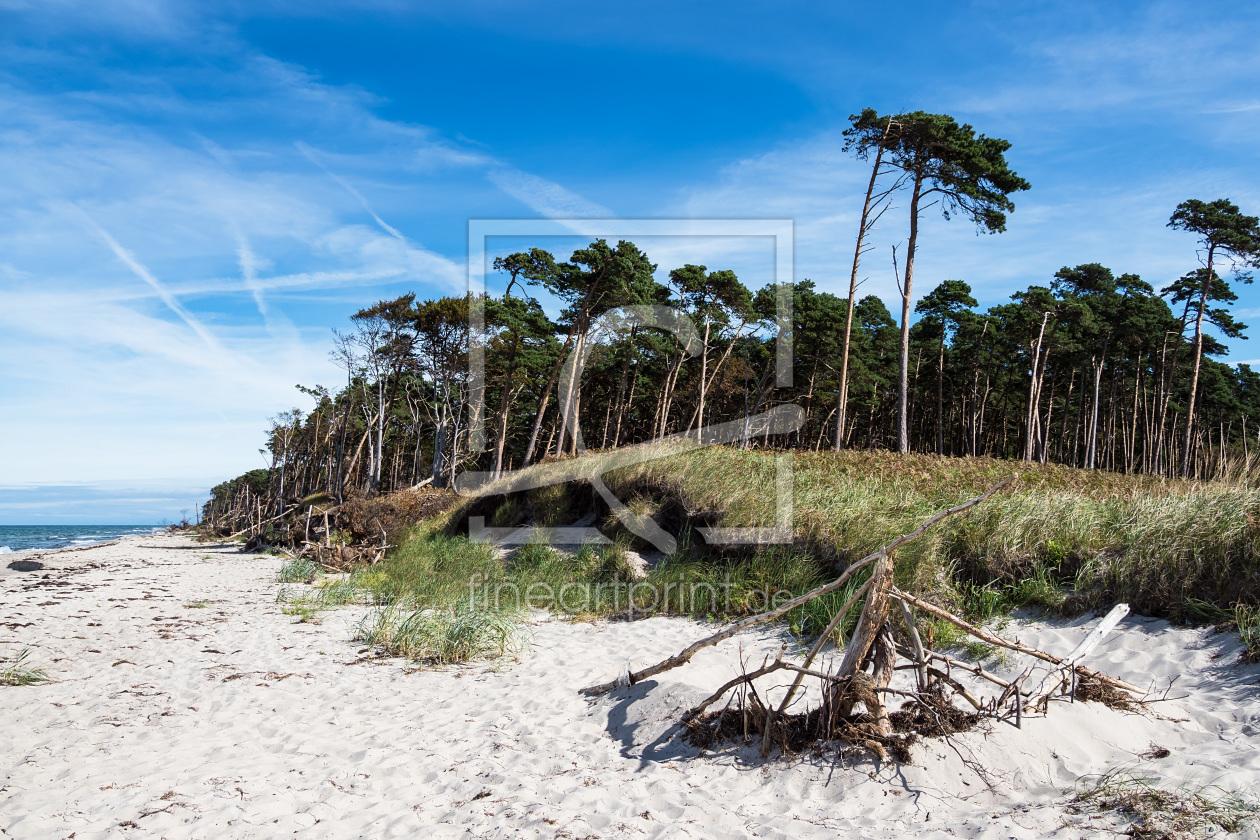 Bild-Nr.: 11936055 Weststrand erstellt von Rico Ködder