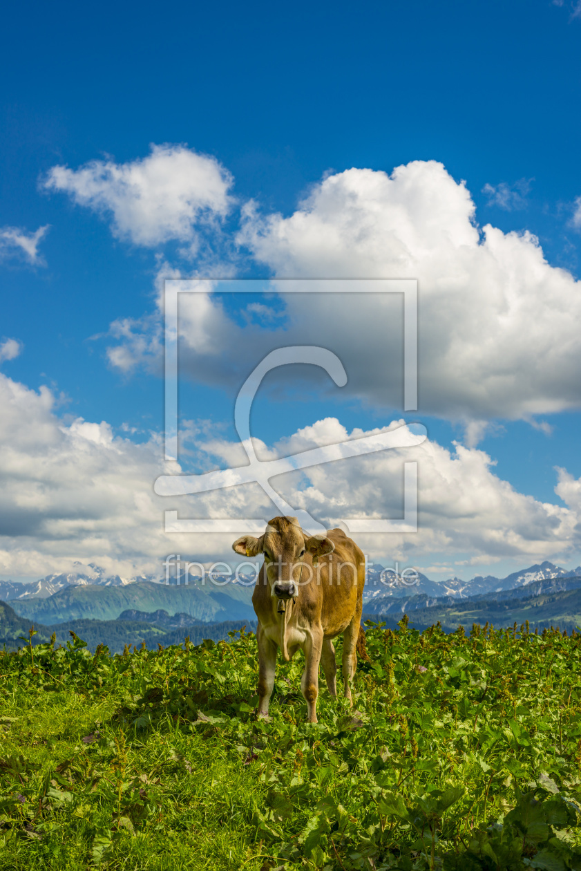 Bild-Nr.: 11937026 im Allgäu erstellt von Walter G. Allgöwer