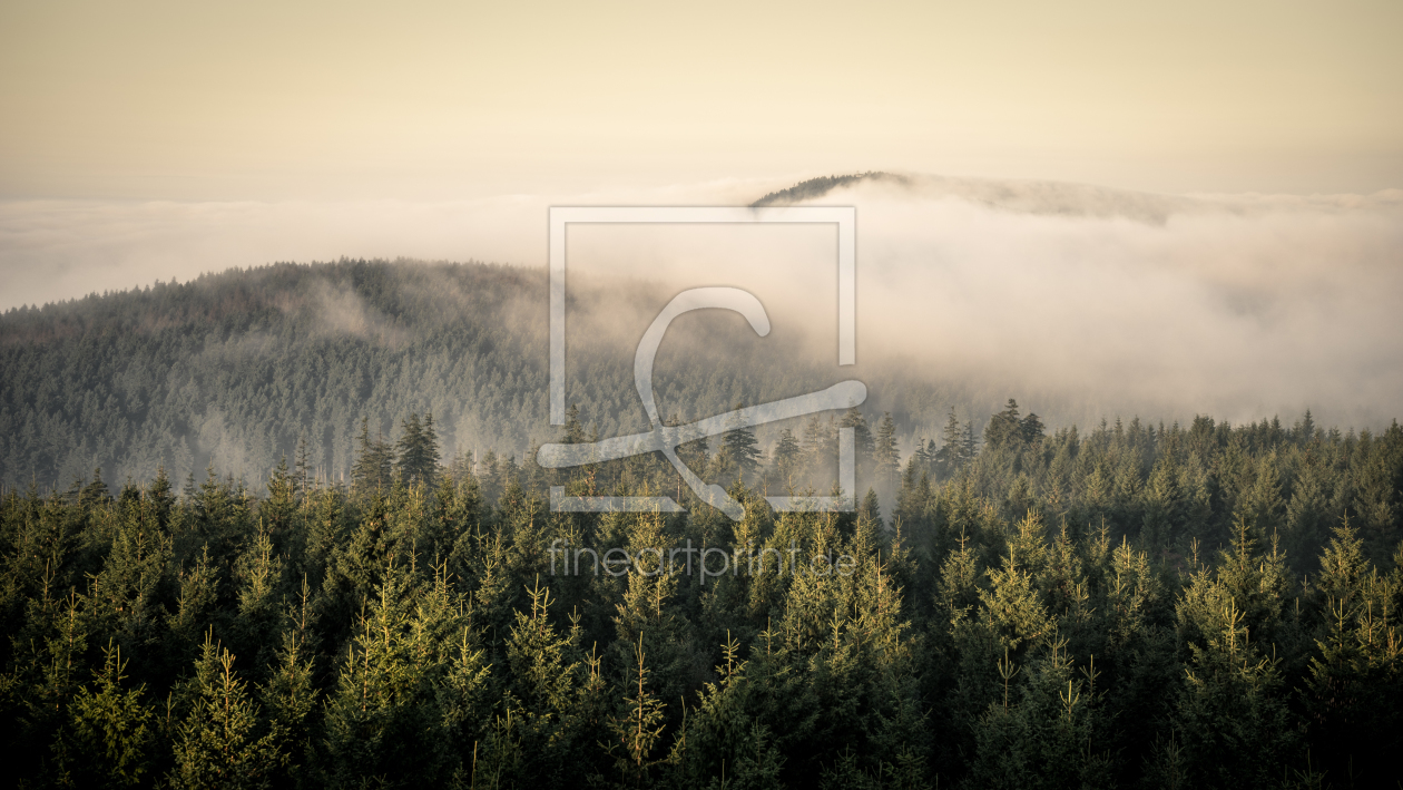 Bild-Nr.: 11938702 Wald und Nebel erstellt von Steffen Henze