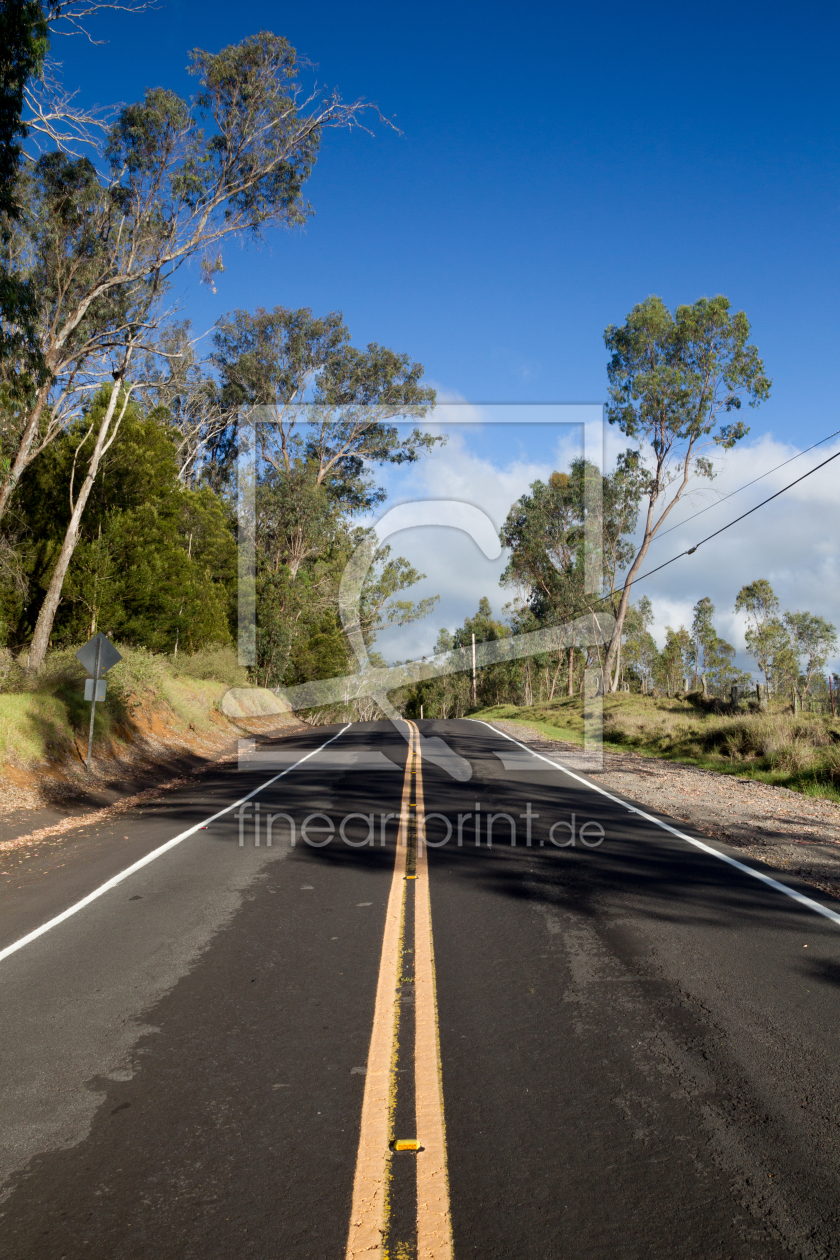 Bild-Nr.: 11939602 Landstraße auf Hawaii erstellt von DirkR