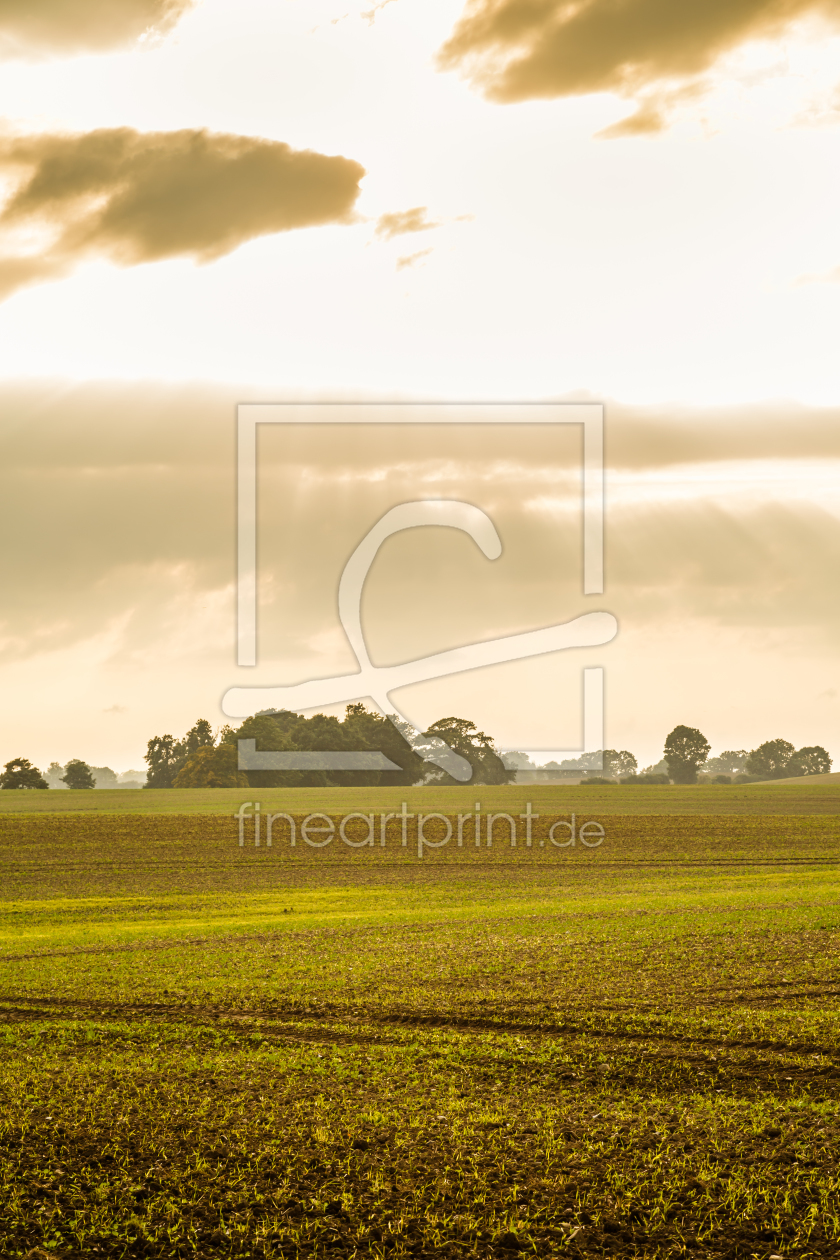 Bild-Nr.: 11939968 b e s t e l l t - 2 - Bild-Nr.: 11939968 b e s t e l l t - 2 - erstellt von Ursula Reins