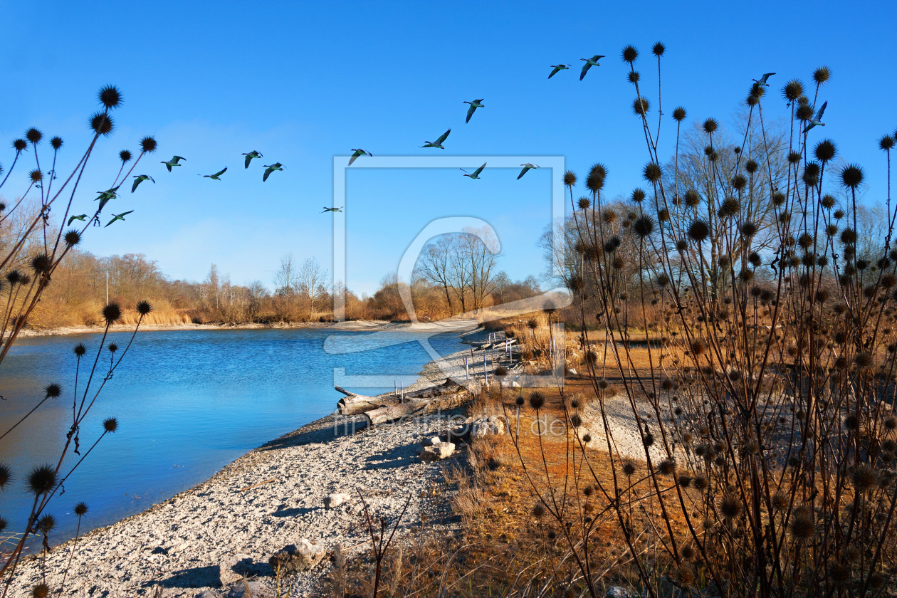 Bild-Nr.: 11940042 Speichersee Ismaning erstellt von SusaZoom