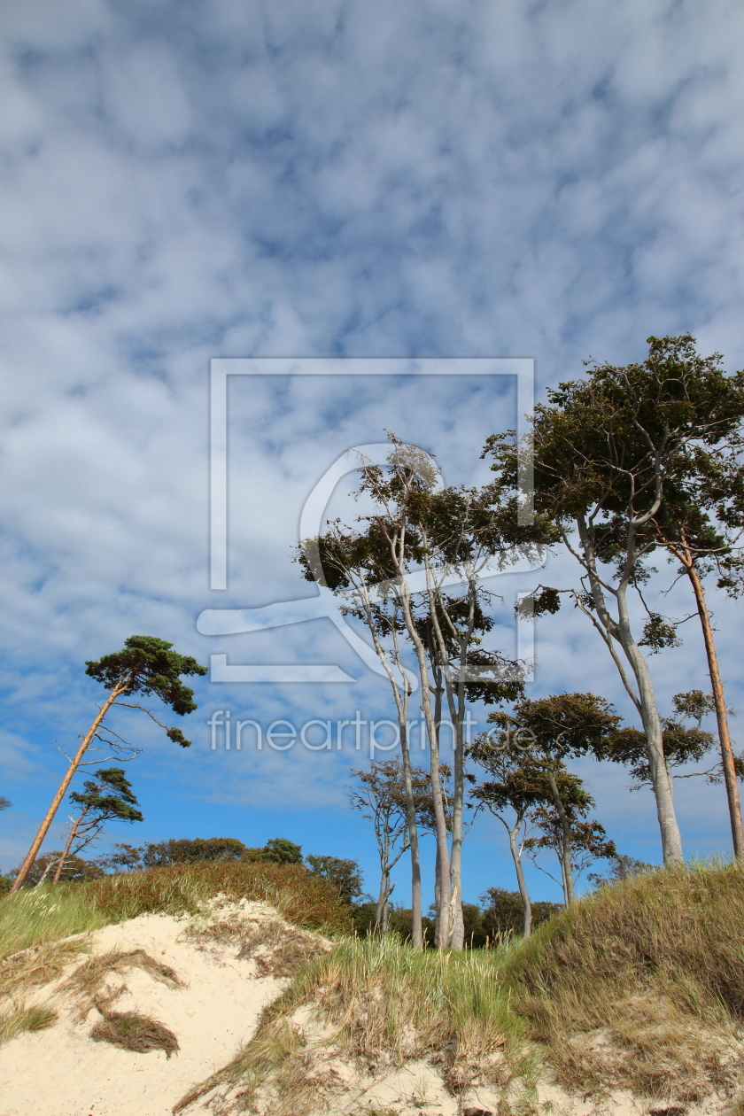 Bild-Nr.: 11940168 Am Weststrand erstellt von Ostseestrand