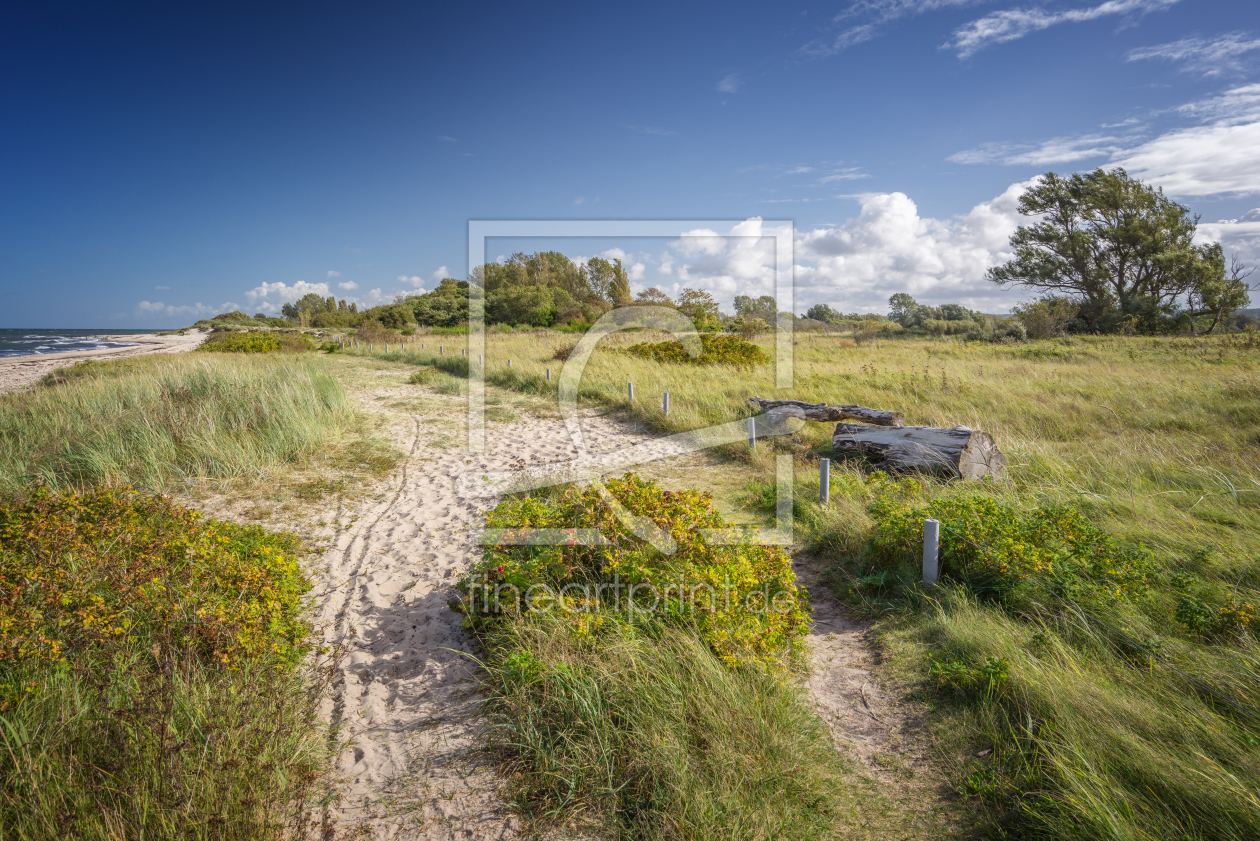 Bild-Nr.: 11941170 An der Ostsee erstellt von FotoDeHRO