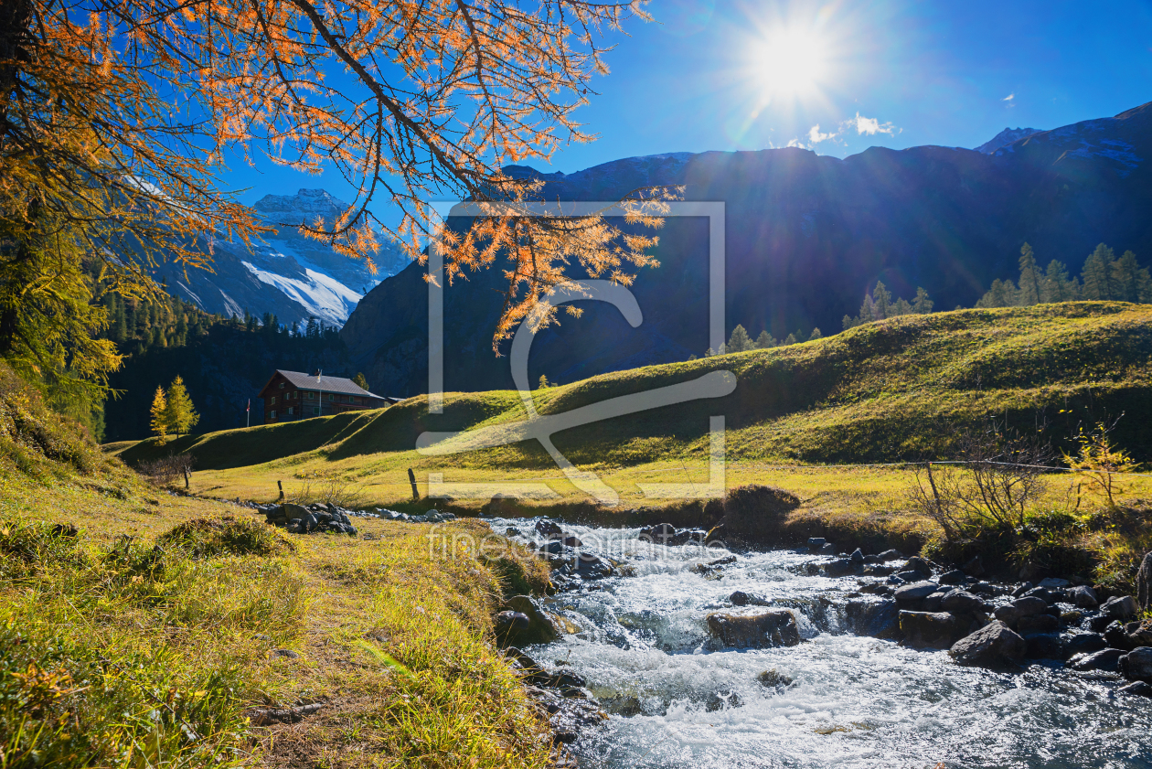 Bild-Nr.: 11941349 Sertigbach im Herbst erstellt von SusaZoom