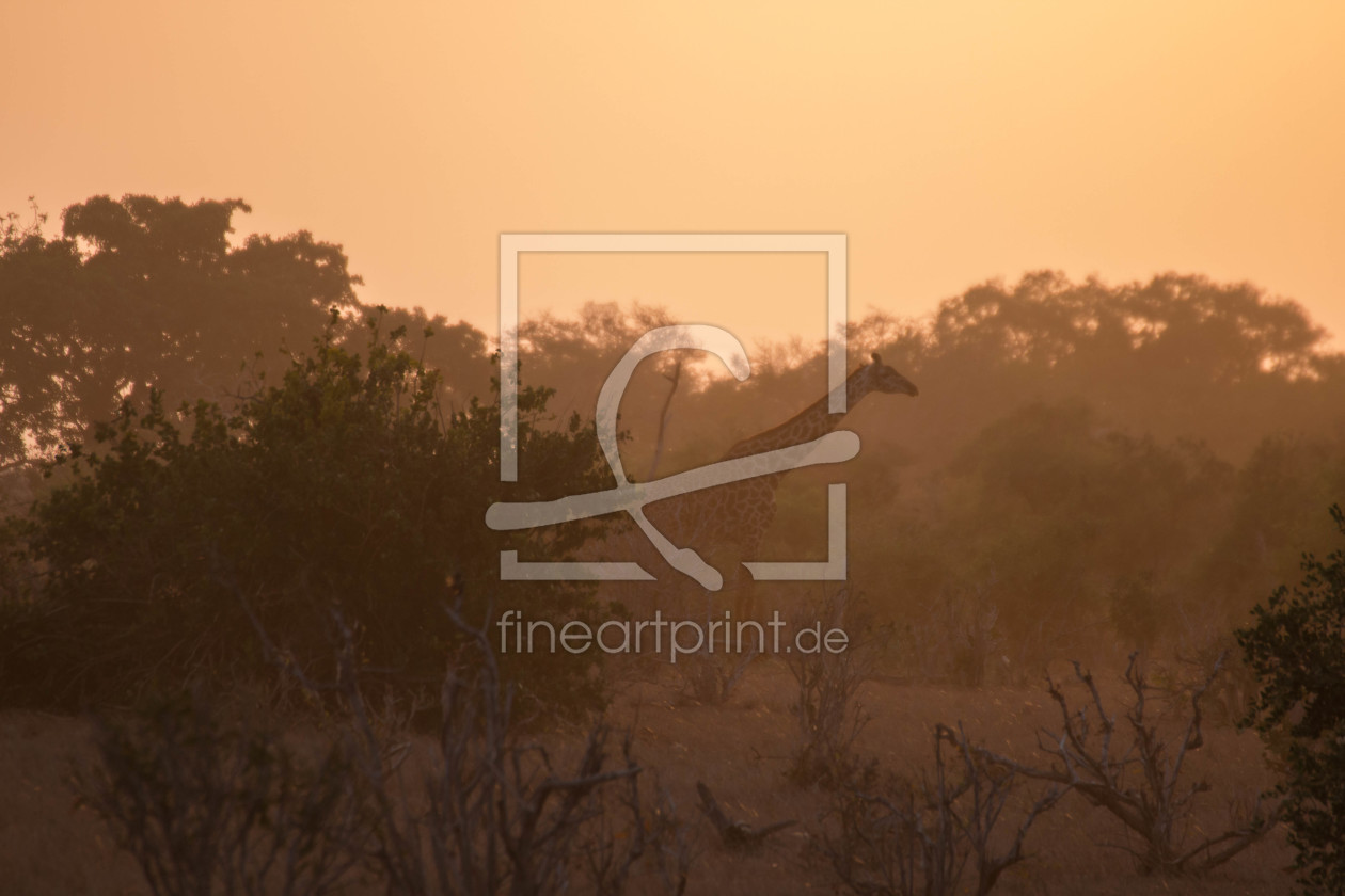 Bild-Nr.: 11941354 Sonnenaufgang in Afrika erstellt von Reinerdir