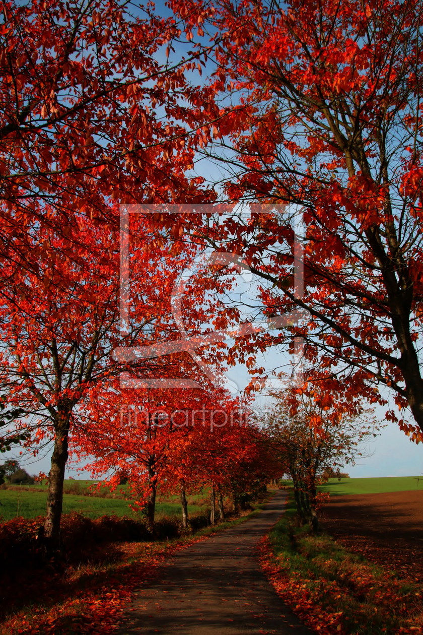 Bild-Nr.: 11941601 Herbstfeuer erstellt von Amazone54