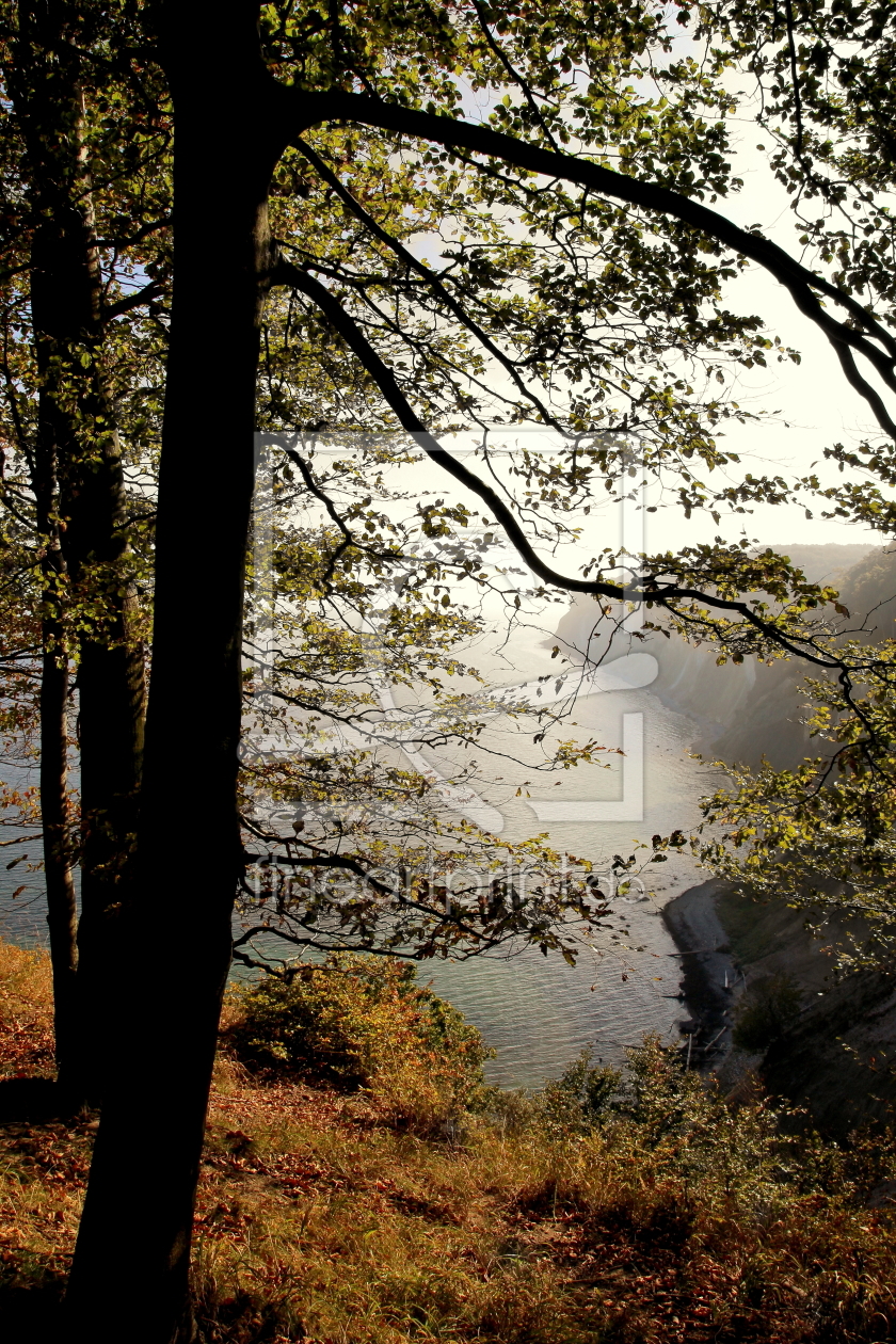 Bild-Nr.: 11941724 Herbst an der Küste erstellt von Ostseestrand