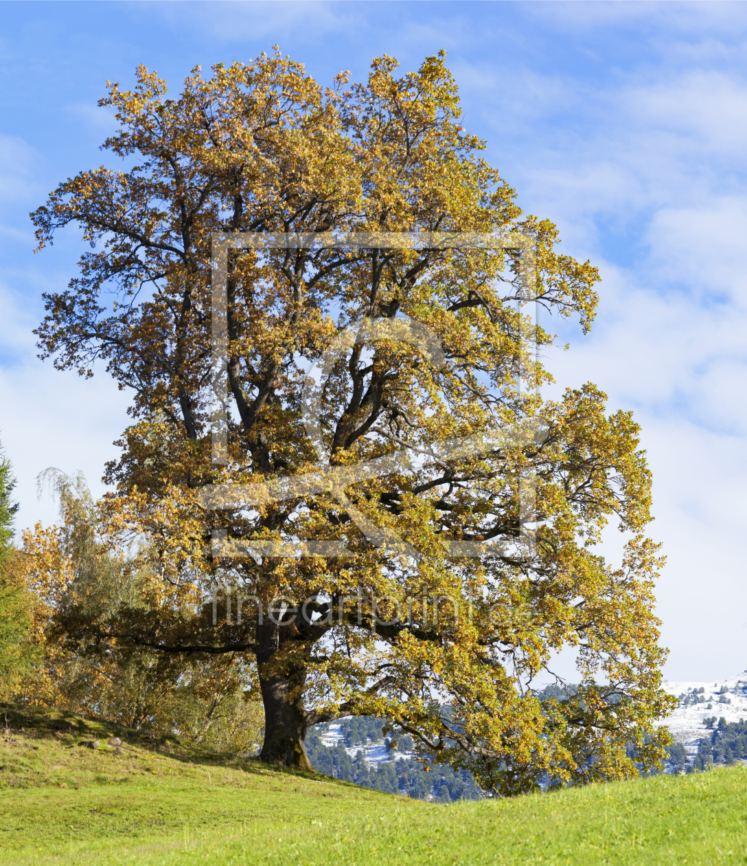 Bild-Nr.: 11942380 Herbst in den Alpen erstellt von wompus