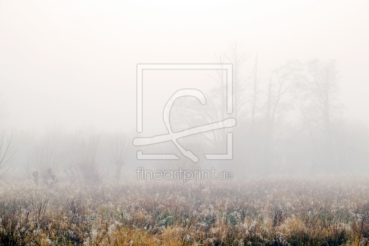 Bild-Nr.: 11943536 Nebel erstellt von Ostfriese