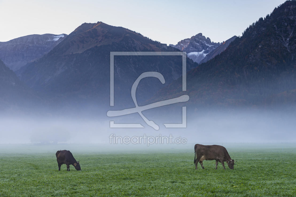 Bild-Nr.: 11943680 frühmorgens im Allgäu erstellt von Walter G. Allgöwer