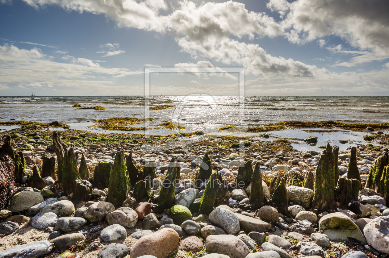 Bild-Nr.: 11943828 Flachwasser an der Ostsee erstellt von Ursula Reins