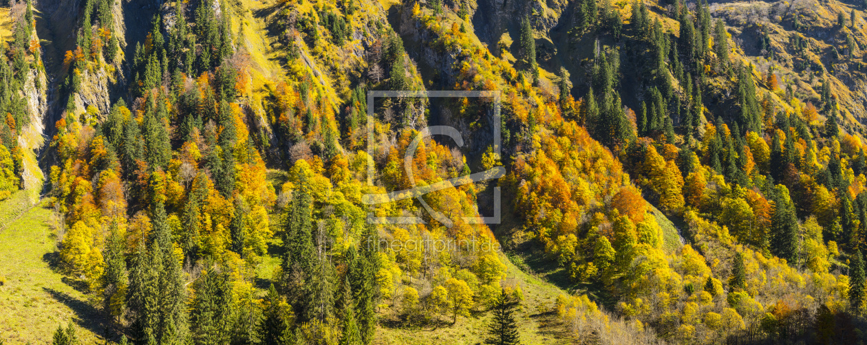 Bild-Nr.: 11944471 Herbst erstellt von Walter G. Allgöwer