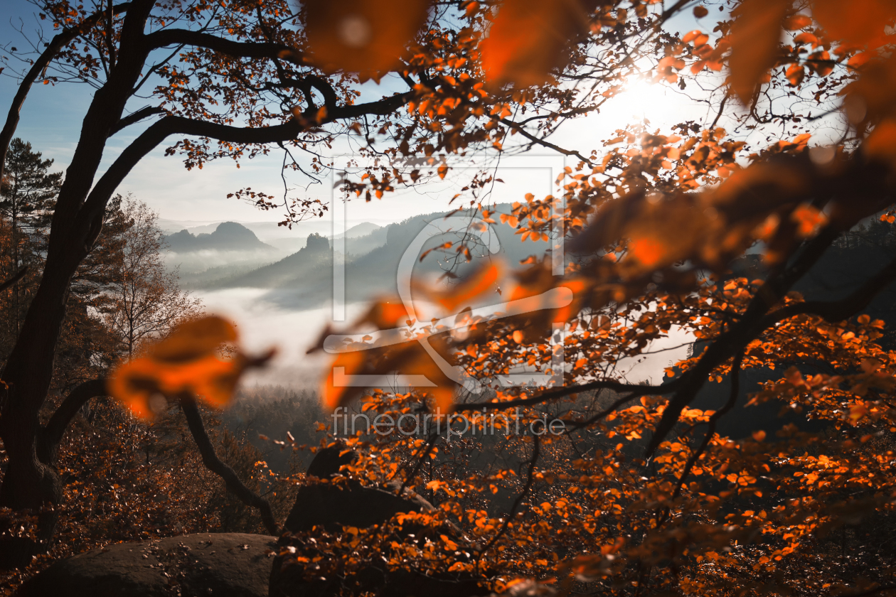 Bild-Nr.: 11944583 Fading Curtain erstellt von Tobias Roetsch