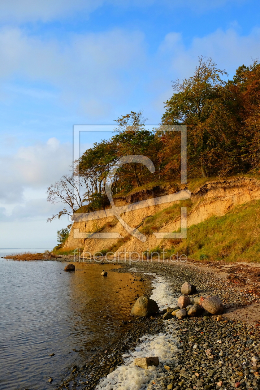 Bild-Nr.: 11944959 Schöne Boddenküste erstellt von Ostseestrand