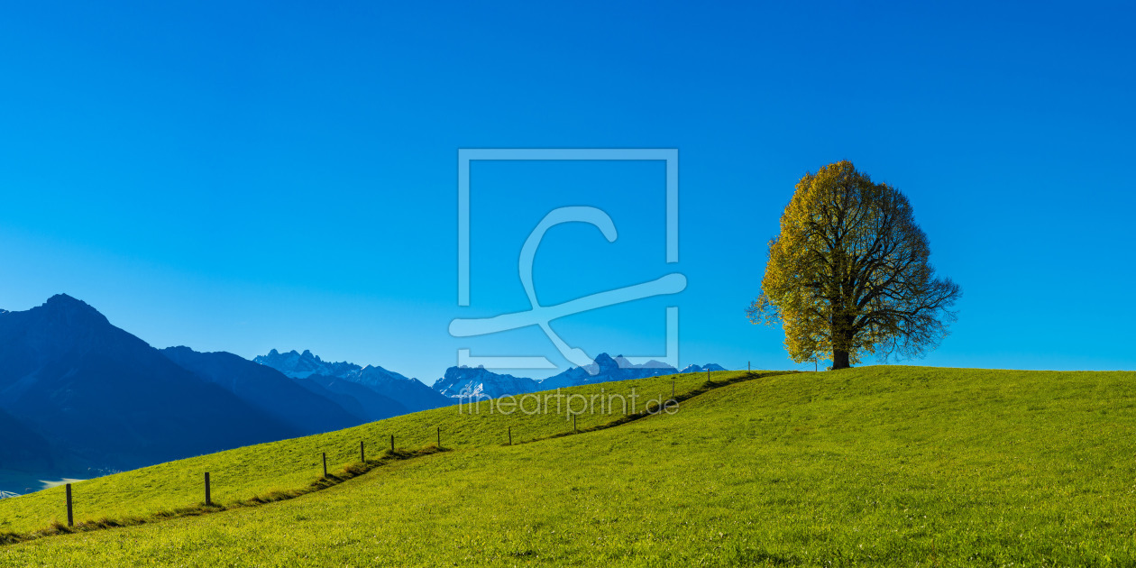 Bild-Nr.: 11945783 ein Baum erstellt von Walter G. Allgöwer