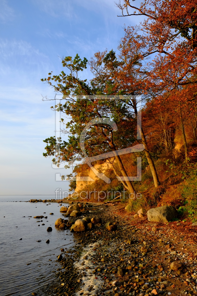 Bild-Nr.: 11945881 Zauberhafte Boddenküste erstellt von Ostseestrand