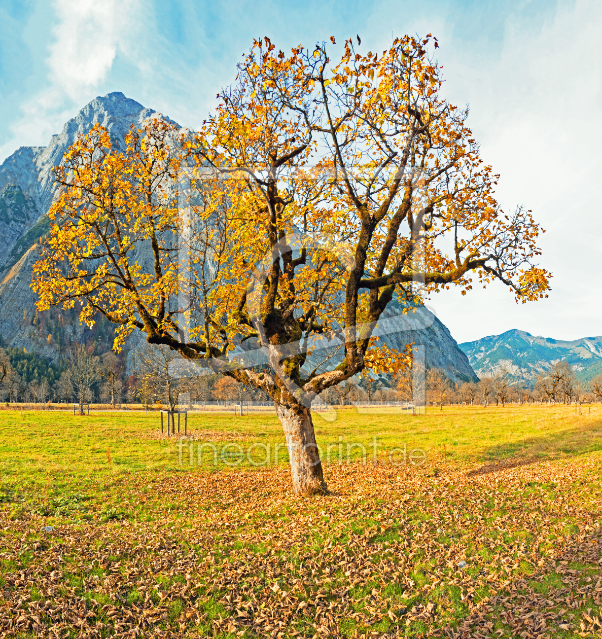 Bild-Nr.: 11946779 Herbst Tirol Karwendel Ahornboden erstellt von wompus