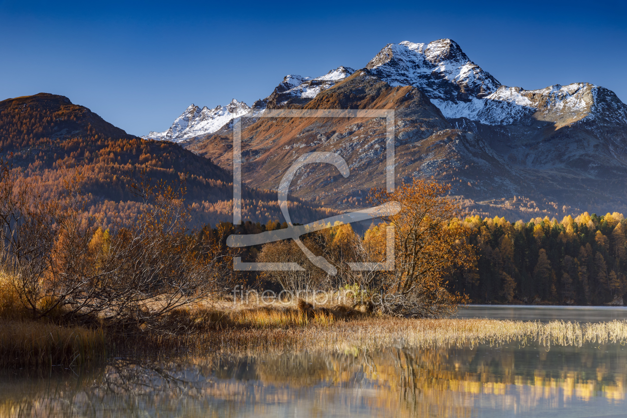 Bild-Nr.: 11947232 Silser See im Herbst erstellt von Daniela Beyer