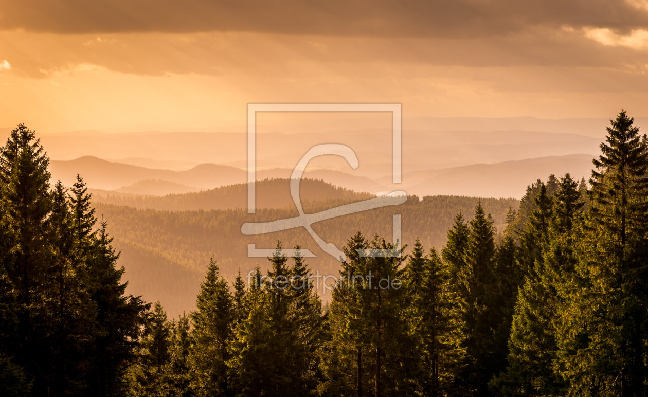 Bild-Nr.: 11947657 Fernsicht im Harz erstellt von Steffen Henze