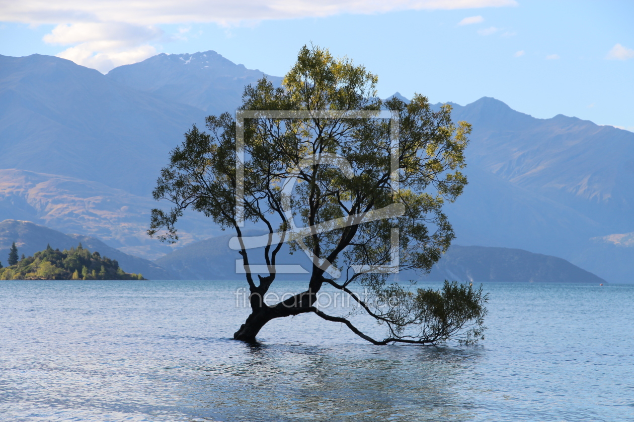 Bild-Nr.: 11947966 Lake Wanaka Tree erstellt von Moarten