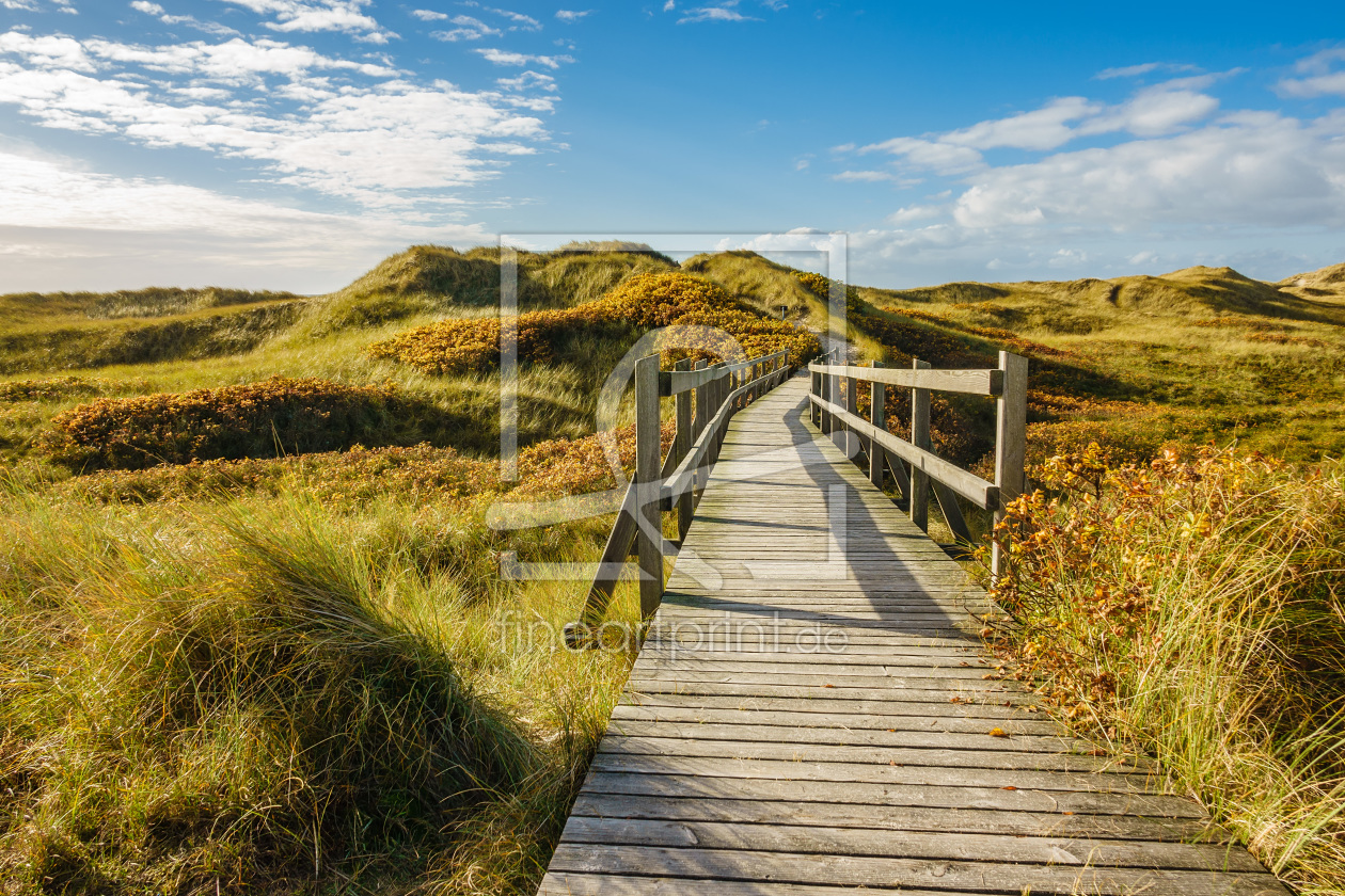 Bild-Nr.: 11948949 Dünenlandschaft auf Amrum erstellt von Rico Ködder