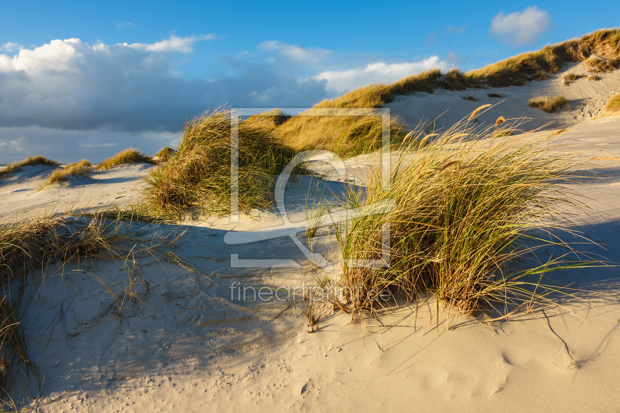 Bild-Nr.: 11948953 Dünenlandschaft auf Amrum erstellt von Rico Ködder