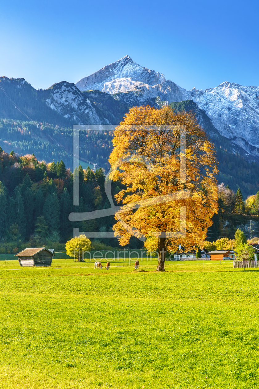 Bild-Nr.: 11949022 Goldener Herbst an Alpspitze in Bayern erstellt von Achim Thomae