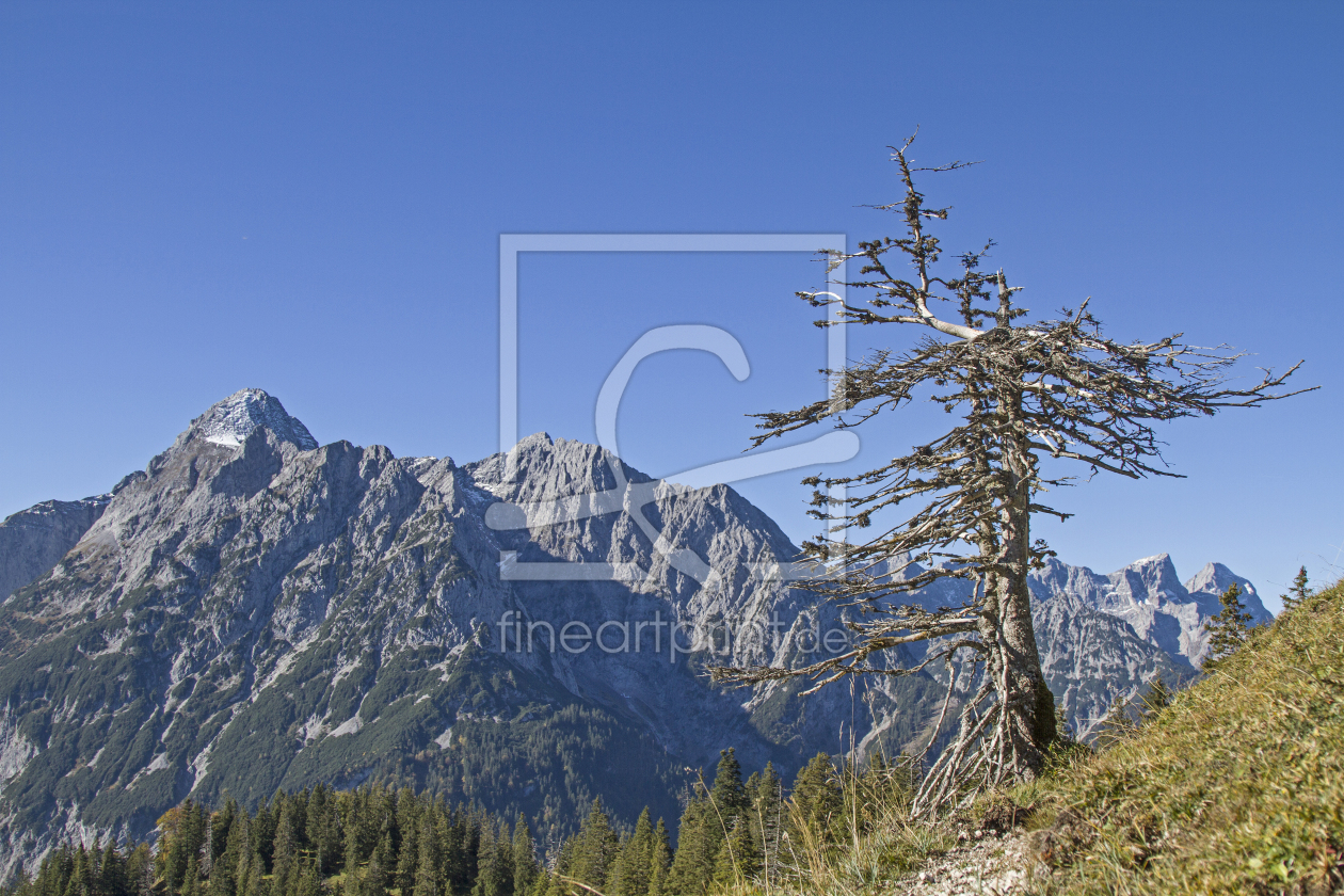 Bild-Nr.: 11949271 Im Karwendelgebirge erstellt von EderHans