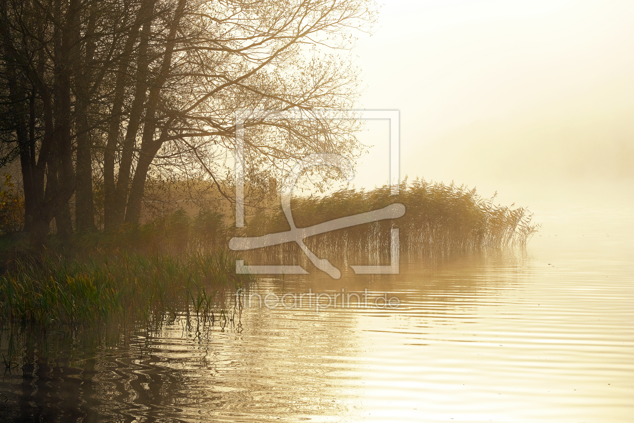 Bild-Nr.: 11949855 Herbstnebel am See erstellt von Ostfriese