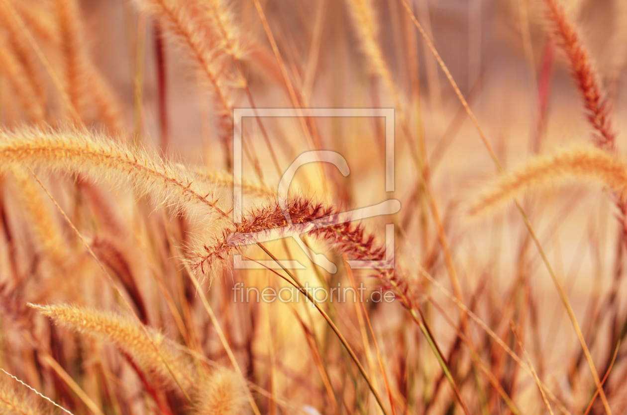 Bild-Nr.: 11949911 Herbst erstellt von Atteloi